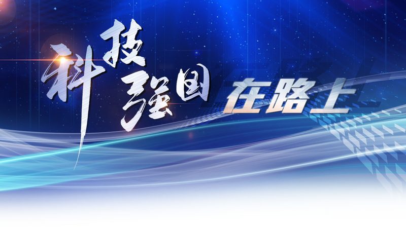 知识图谱存储方式的性能与适用场景分析
